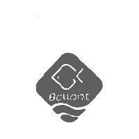 Gallant 及圖