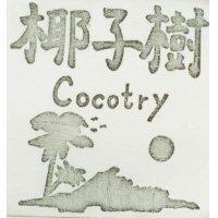 椰子樹 Cocotry