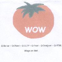WOW -Q-Server,Q-Client,Q-OLTP,Q-Print,Q-Designer,Q-HTML 及圖