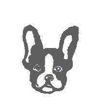 犬設計圖
