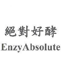 絕對好酵 EnzyAbsolute