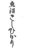 魚沼 こしひかり 