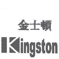 金士頓 KINGSTON 及圖