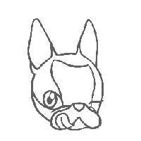 犬設計圖