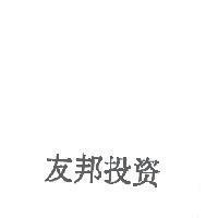 友邦投資