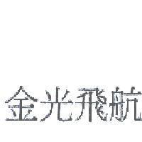 金光飛航