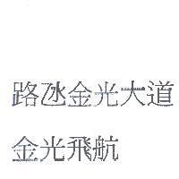 路氹金光大道 金光飛航