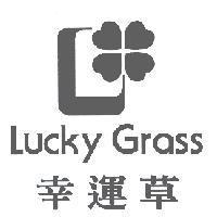 幸運草 Lucky Grass 及圖