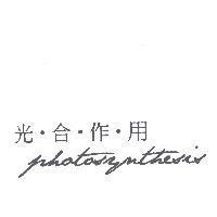 光合作用 photosynthesis