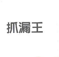 抓漏王