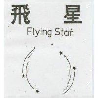 飛星及圖 FLYING STAR 