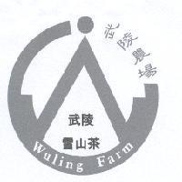武陵農場武陵雪山茶 Wuling Farm 及圖