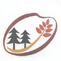 紅麴示意圖