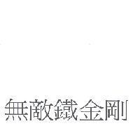 無敵鐵金剛