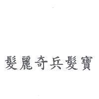 髮麗奇兵髮寶