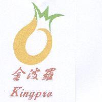 金波羅 Kingpra 及圖