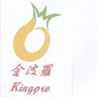金波羅 Kingpra 及圖