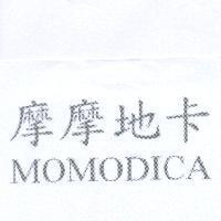 摩摩地卡 MOMODICA
