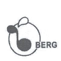 BERG 及圖