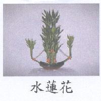 水蓮花及圖