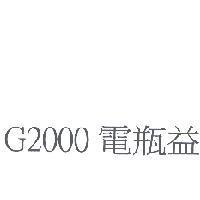 G2000 電瓶益