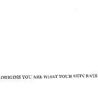 ORIGINS YOU ARE WHAT YOUR SKIN EATS