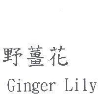 野薑花 Ginger Lily