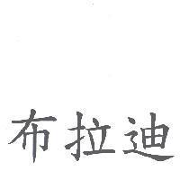 布拉迪