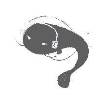 人面魚圖