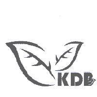 KDB 及圖