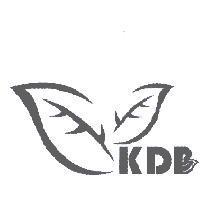 KDB 及圖