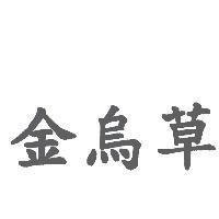 金烏草