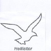Hollister 及圖