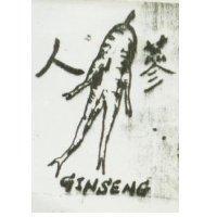 人蔘 GINSENG