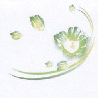 芙蓉花圖