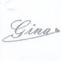 gina 及圖