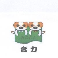 合力 HOLI 及圖