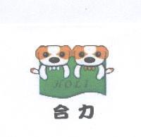 合力 HOLI 及圖