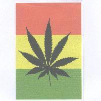 紅黃綠底葉子圖