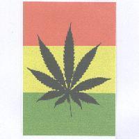 紅黃綠底葉子圖