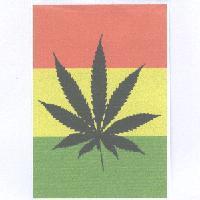 紅黃綠底葉子圖