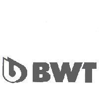 BWT 及圖