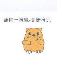 寵物土撥鼠-高捷哈比及圖