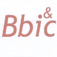 Bbic 及記號&