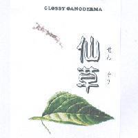 仙草 せん そり及圖 GLOSSY GANODERMA