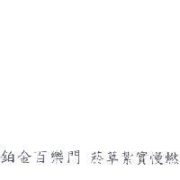 鉑金百樂門 菸草紮實慢燃