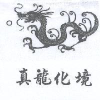 真龍化境及圖