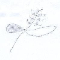 黃玉涵標章圖