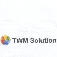 球及 TWM SOLUTION