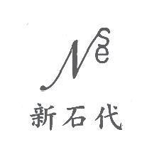 新石代 NSE 及圖